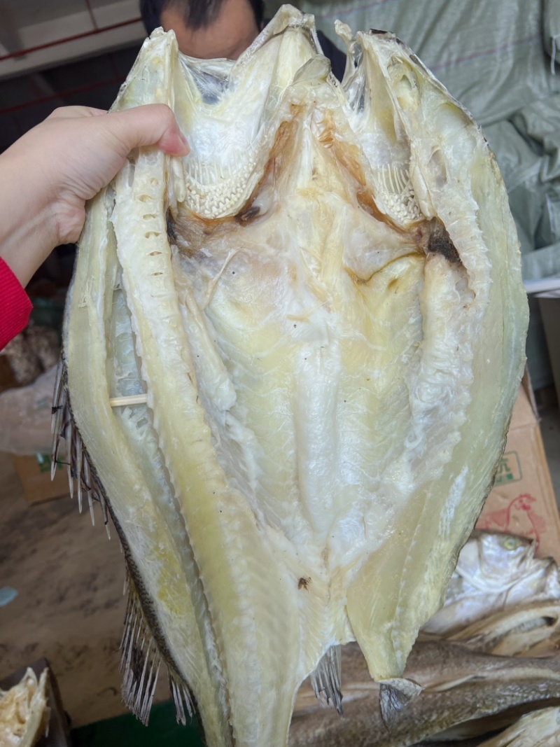 开边海鲈鱼干地摊电商批发超大鲈鱼干干鲈鱼鱼干干鱼鲈鱼片