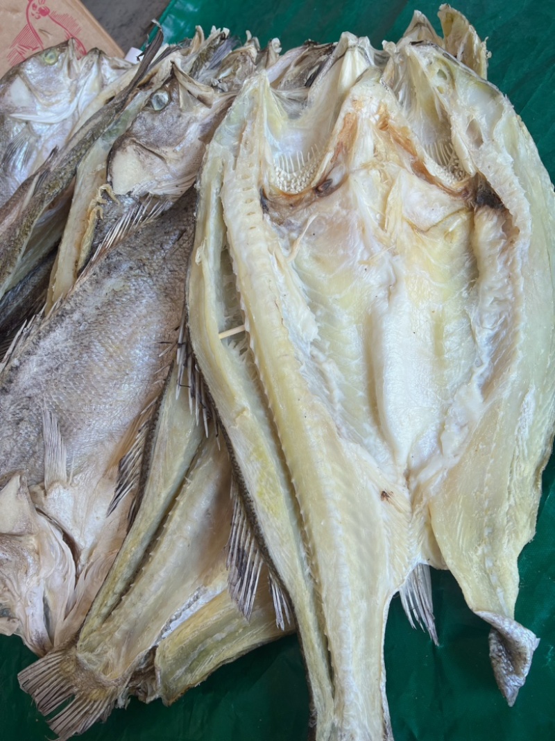 开边海鲈鱼干地摊电商批发超大鲈鱼干干鲈鱼鱼干干鱼鲈鱼片