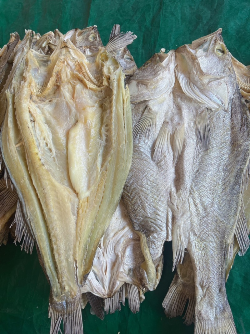 开边海鲈鱼干地摊电商批发超大鲈鱼干干鲈鱼鱼干干鱼鲈鱼片