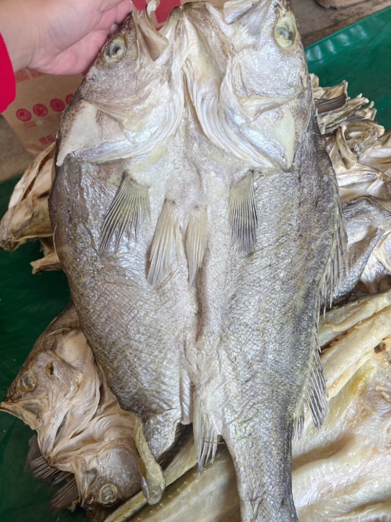 开边海鲈鱼干地摊电商批发超大鲈鱼干干鲈鱼鱼干干鱼鲈鱼片