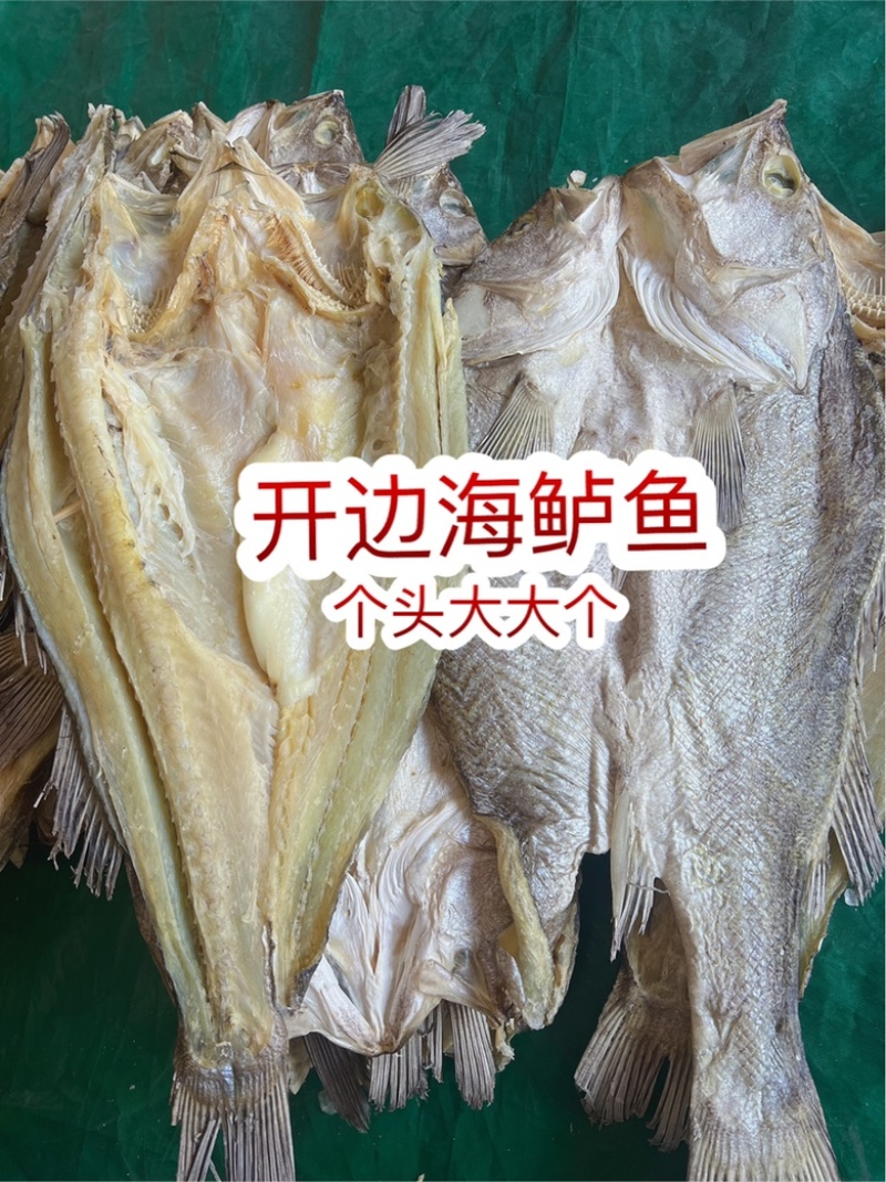 开边海鲈鱼干地摊电商批发超大鲈鱼干干鲈鱼鱼干干鱼鲈鱼片