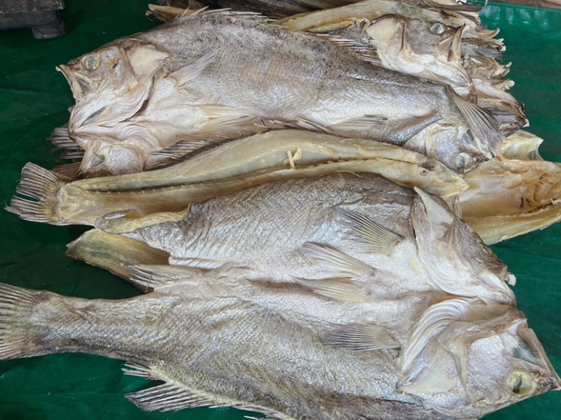 开边海鲈鱼干地摊电商批发超大鲈鱼干干鲈鱼鱼干干鱼鲈鱼片