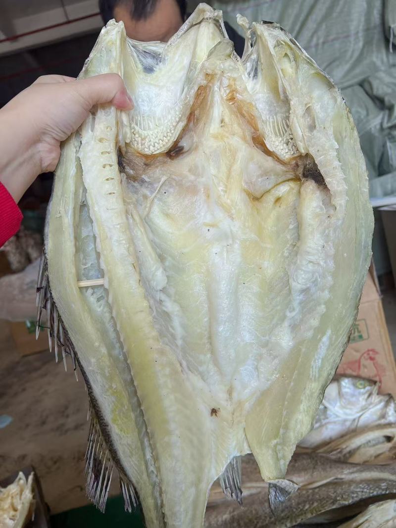 开边海鲈鱼地摊电商批发鲈鱼干干鲈鱼鲈鱼片鱼干干鱼