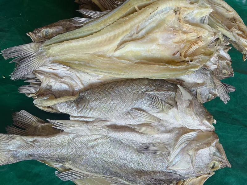 开边海鲈鱼地摊电商批发鲈鱼干干鲈鱼鲈鱼片鱼干干鱼