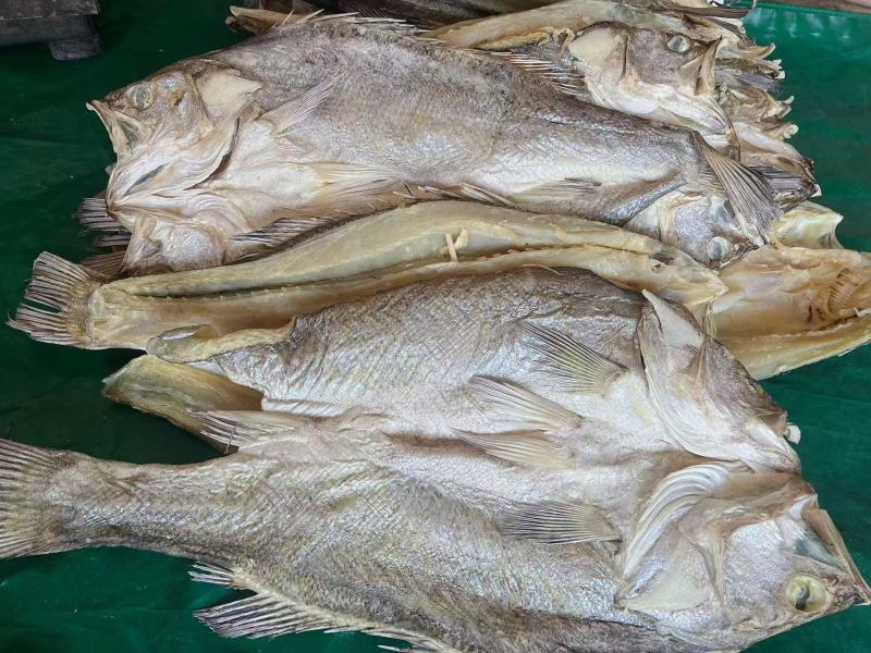 开边海鲈鱼地摊电商批发鲈鱼干干鲈鱼鲈鱼片鱼干干鱼