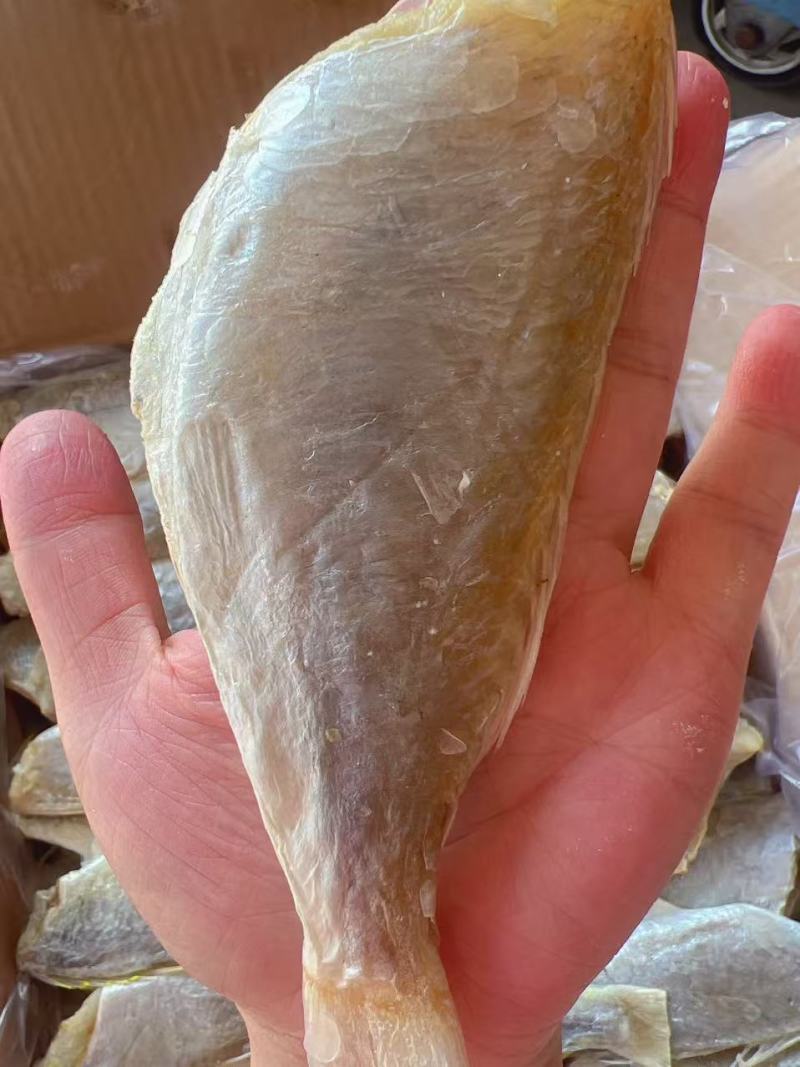 红衫鱼干地摊电商批发红衫鱼干红杉鱼干红三鱼干金线鱼干干鱼