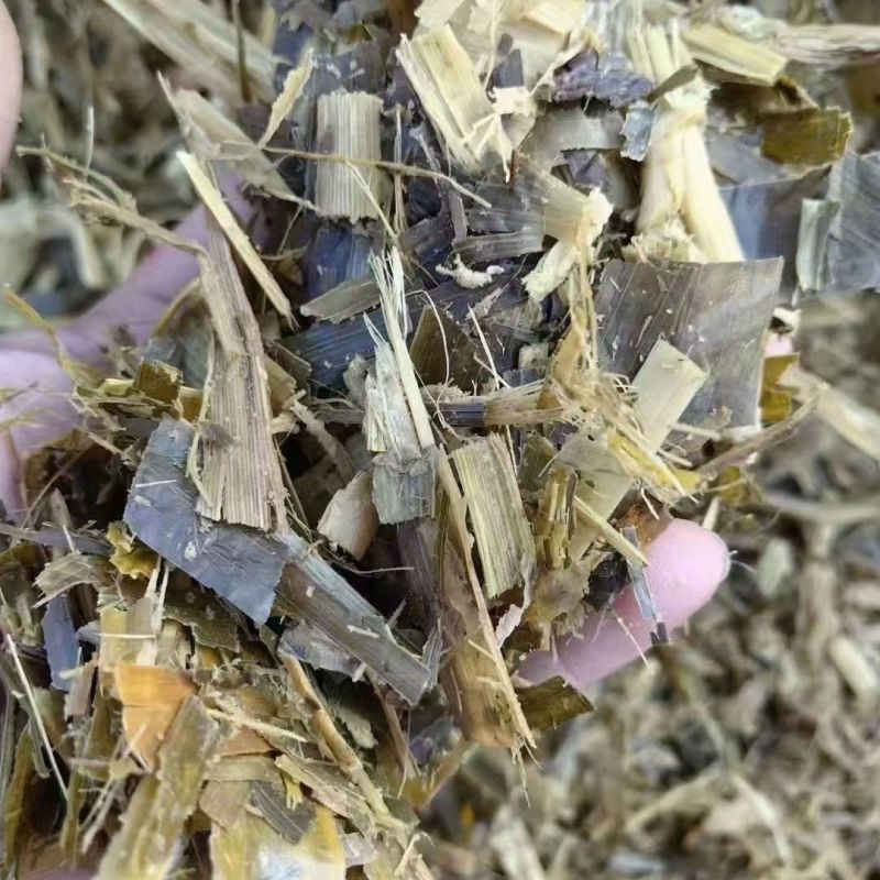 湖南汉寿县/玉米秸秆青贮/品质保证欢迎采购/合作共赢/