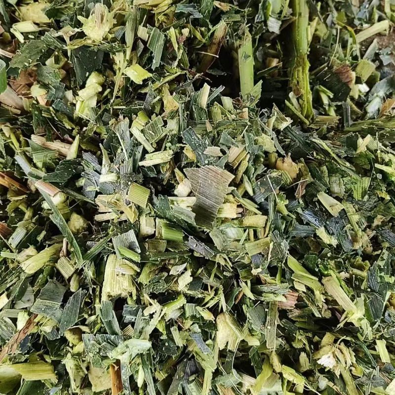 湖南汉寿县/玉米秸秆青贮/品质保证欢迎采购/合作共赢/