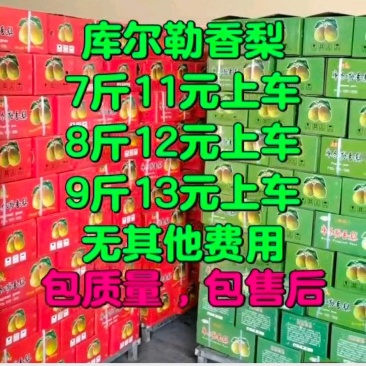 河北库尔勒香梨，礼盒，香梨，礼盒，一手货源，现场加工