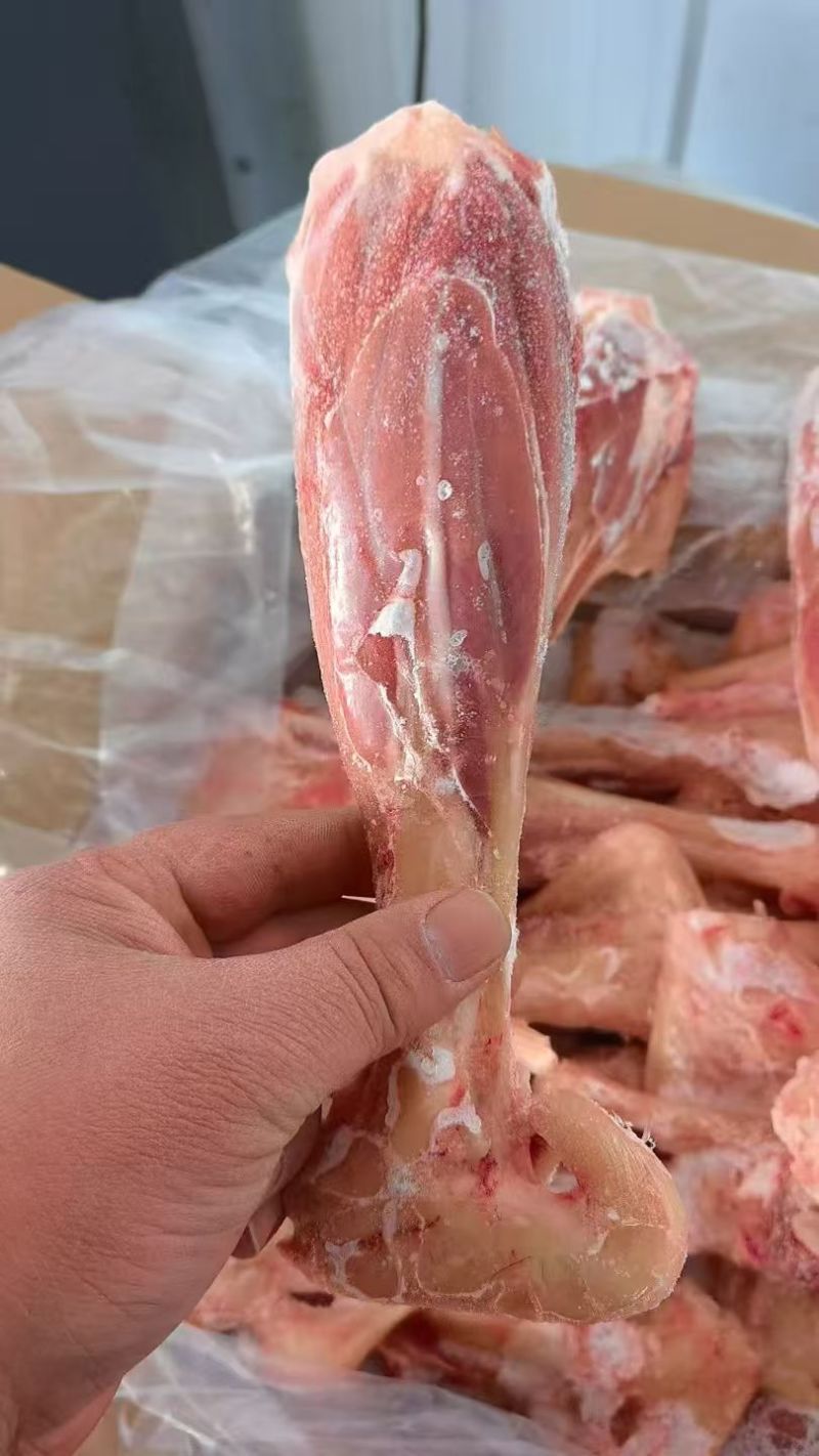 羔羊后腱子：内蒙草原羔羊后小腿，带拐筋！速冻保鲜，冷库直