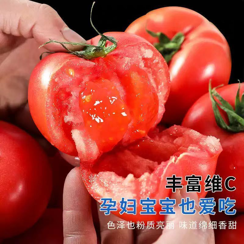 西红柿品种：圣尼斯6223支持各电商一件代发包售后