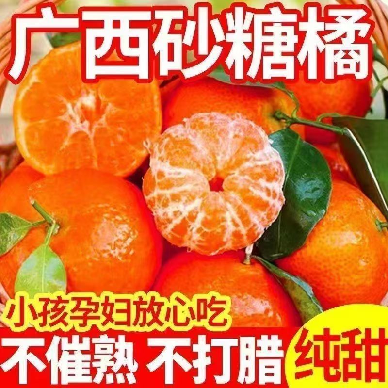 《热销》正宗广西砂糖橘基地直发保质保量一条龙服务对接全国