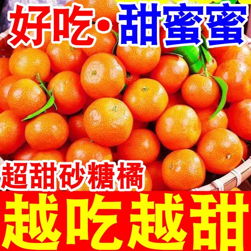 《热销》正宗广西砂糖橘基地直发保质保量一条龙服务对接全国