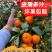 《推荐》广西正宗砂糖橘大量现货对接商超团购电商一条龙