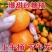 《推荐》广西正宗砂糖橘大量现货对接商超团购电商一条龙