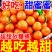 《推荐》广西正宗砂糖橘大量现货对接商超团购电商一条龙
