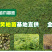 黄柏苗、正宗厚皮川黄柏苗出售，自家农场基地直供