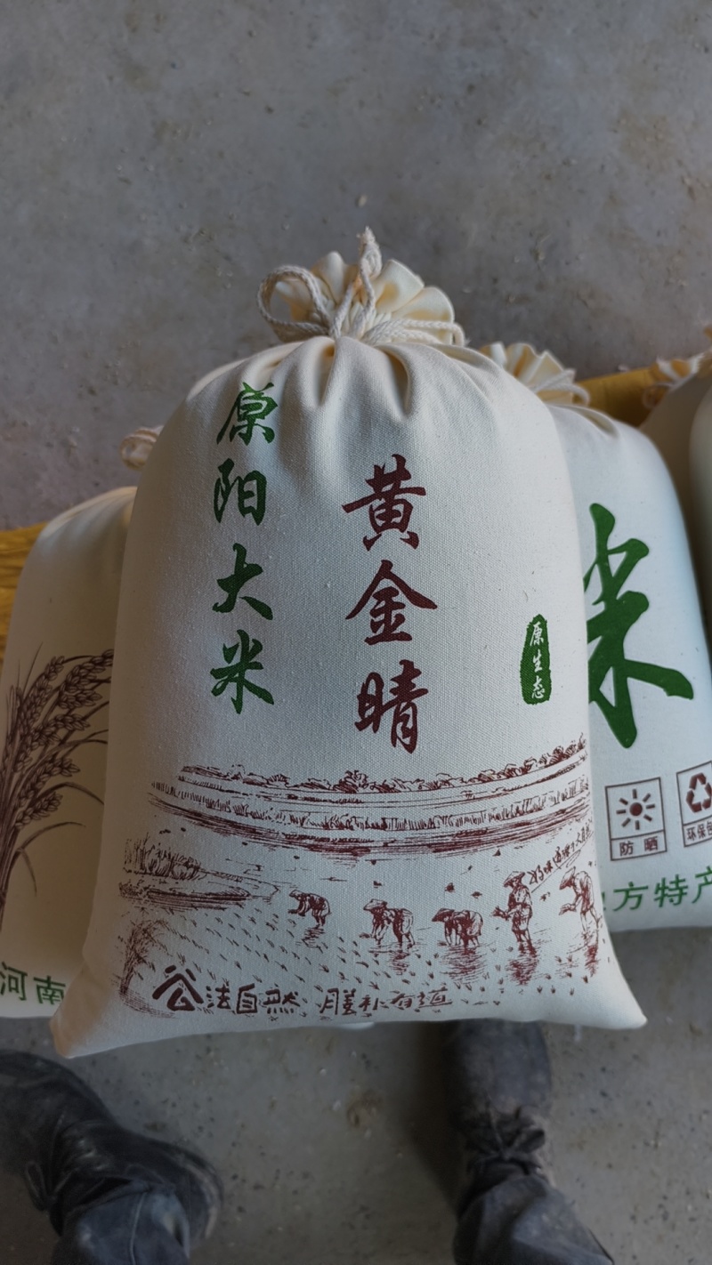 黄金晴大米