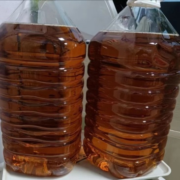 郴州纯正山茶油