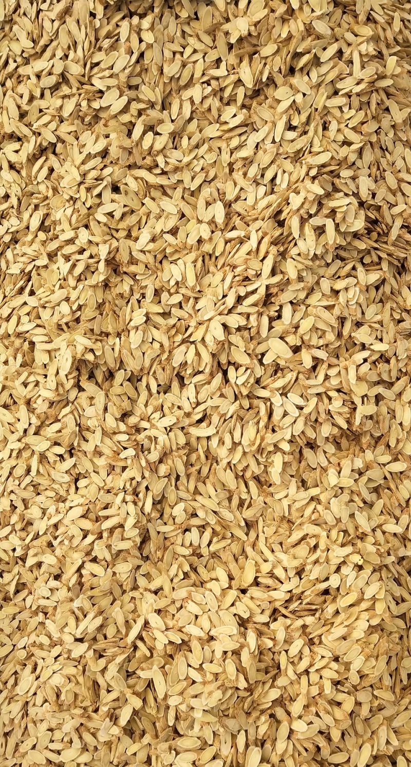 黄芪片甘肃岷县黄芪中药材当季加工黄芪片