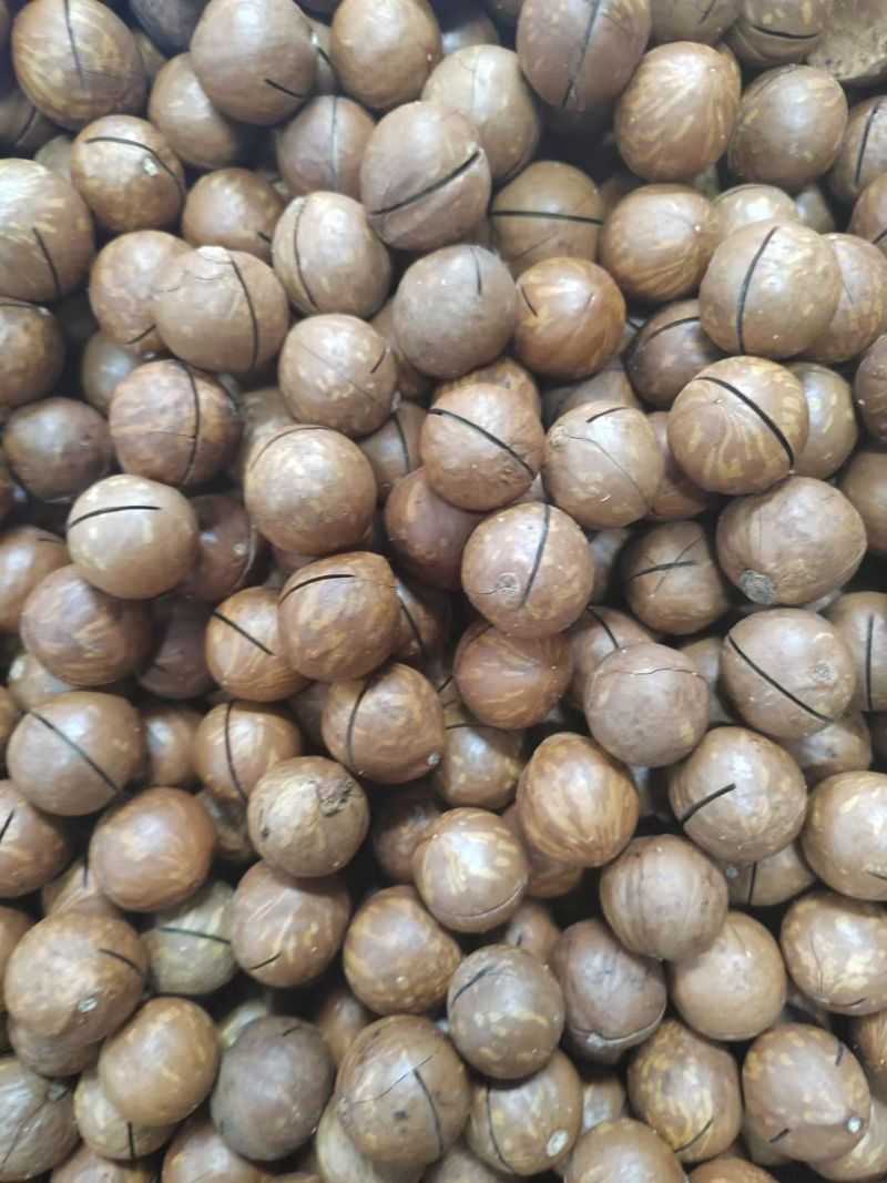 奶油味夏威夷果大颗粒500g工厂一件代发电商**大货价格优