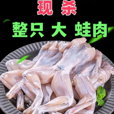 现杀牛蛙整只广东省内当天发货