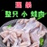 现杀牛蛙整只广东省内当天发货