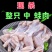 现杀牛蛙整只广东省内当天发货