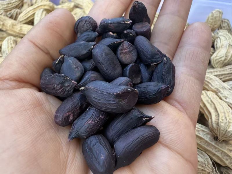 云南普洱澜沧黑花生和七彩花生以及甘蔗糖，自烤酒