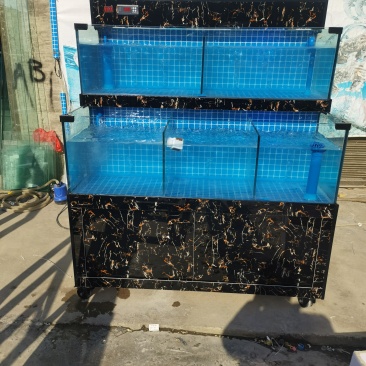 移动海鲜池一体机