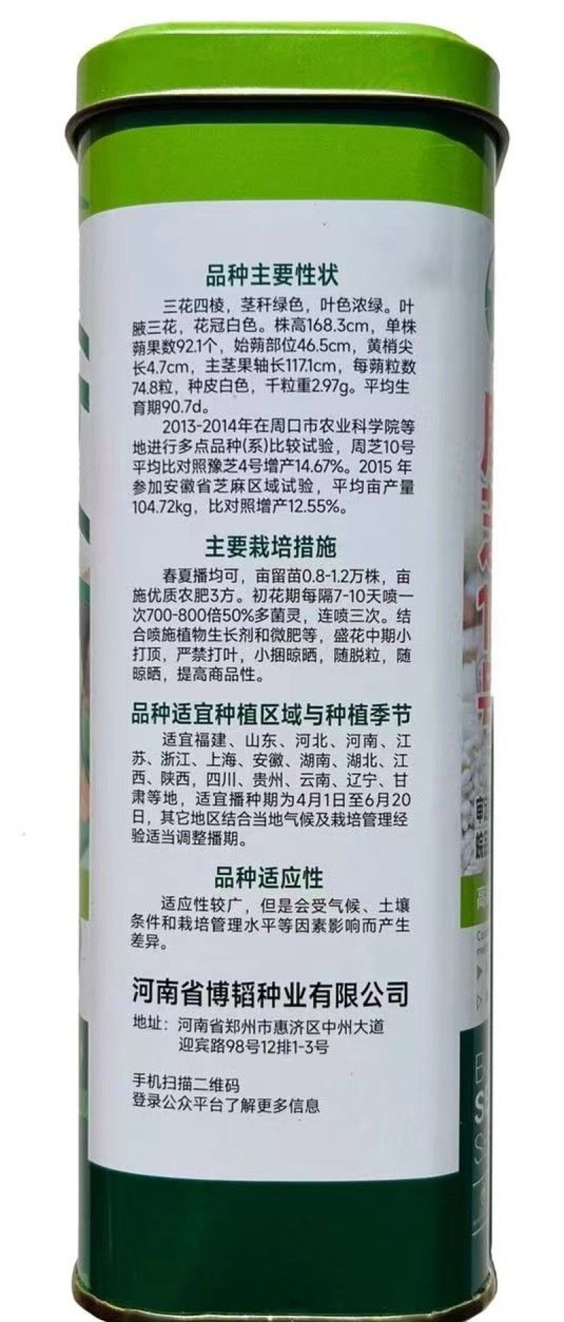 地天白芝麻种高产抗病抗倒伏白芝麻种籽大田基地用芝麻种