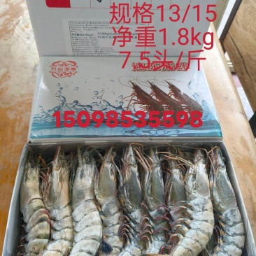 印度黑虎