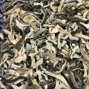 羊肚丝