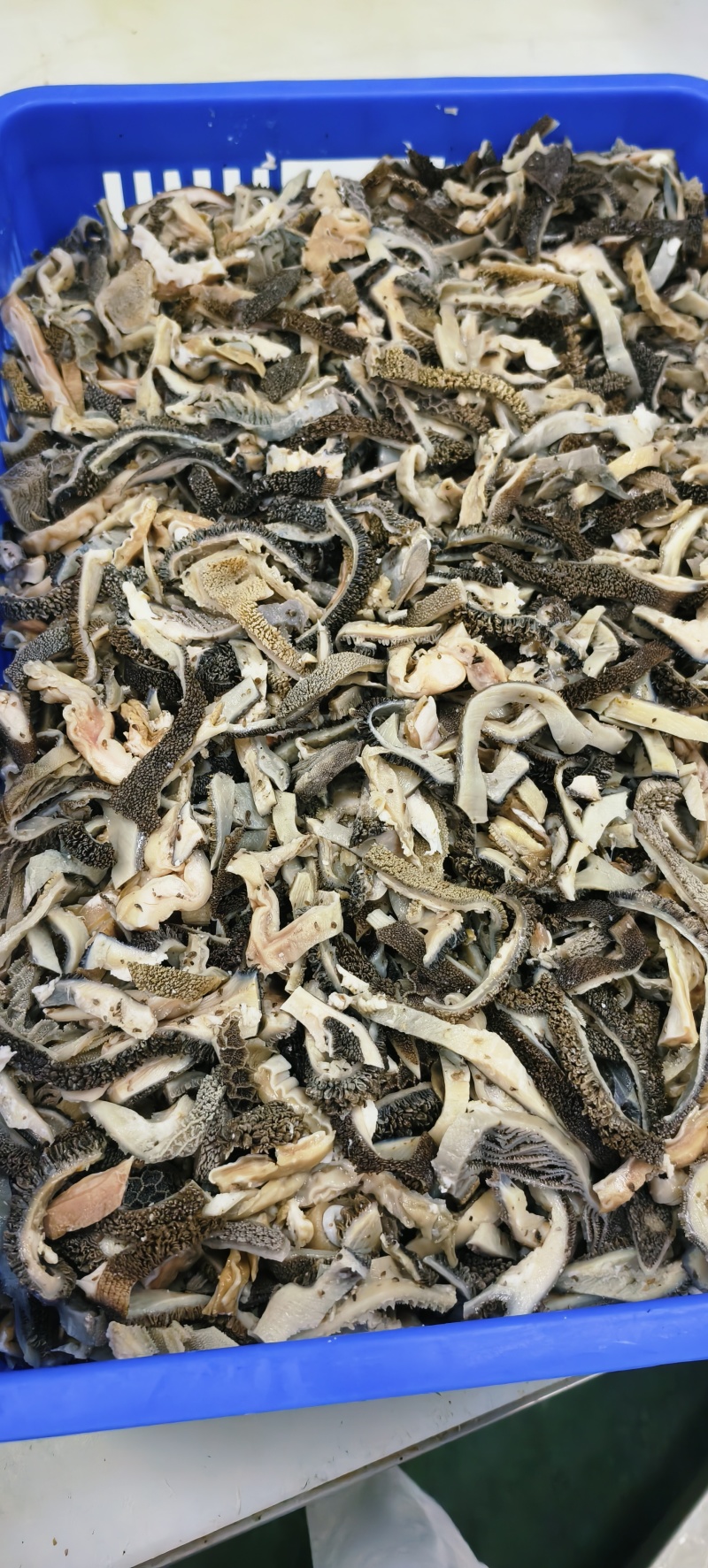 羊肚丝