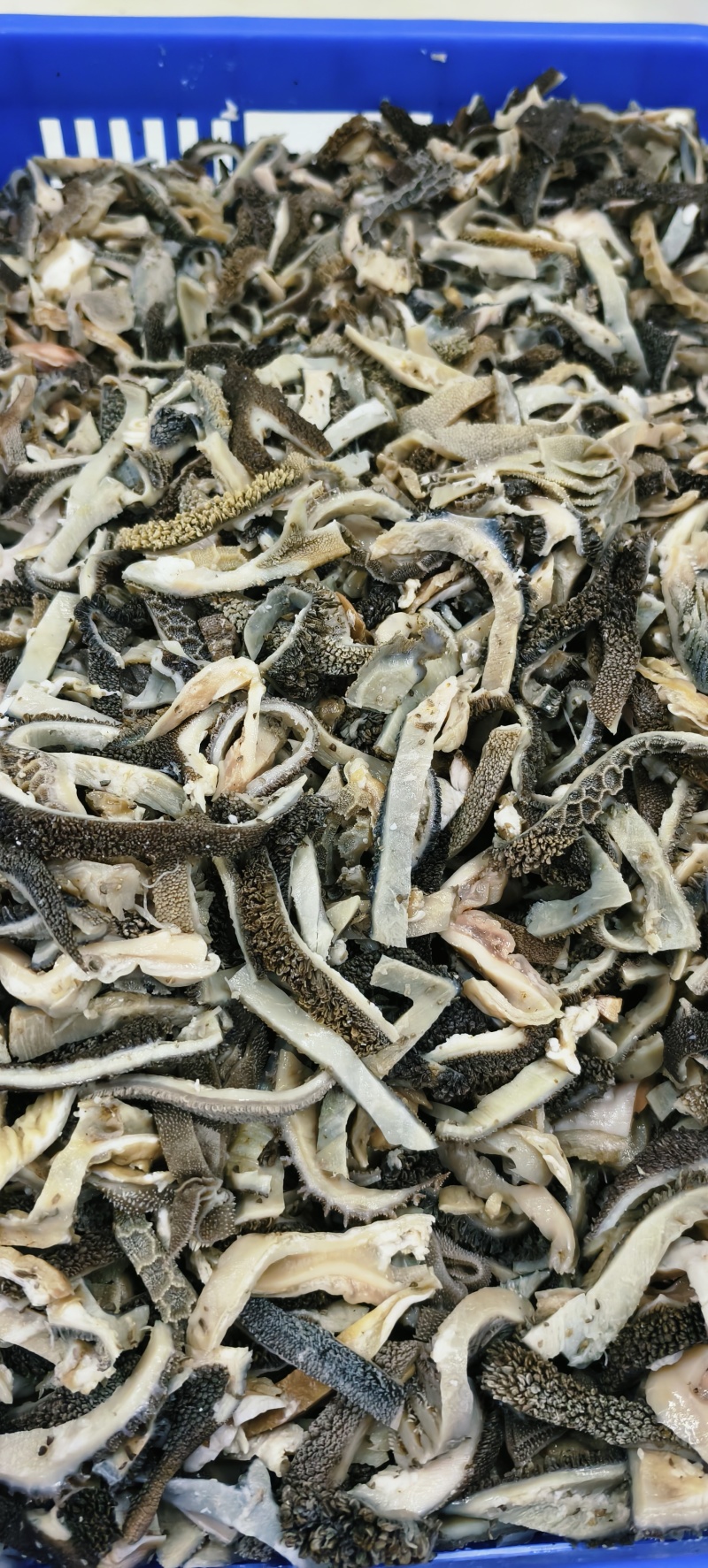 羊肚丝