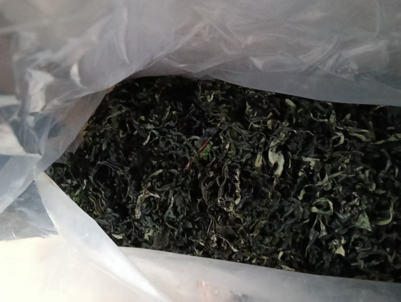 便宜【蒸汽烘干】福建烘干海带丝干货商用批发价无盐无沙无泥