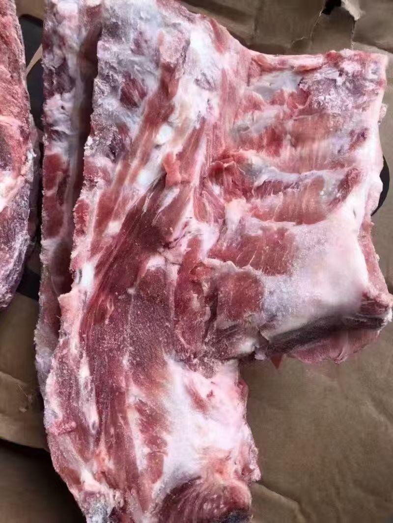 猪胫骨