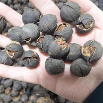 水煮碳烧野生山核桃长寿果