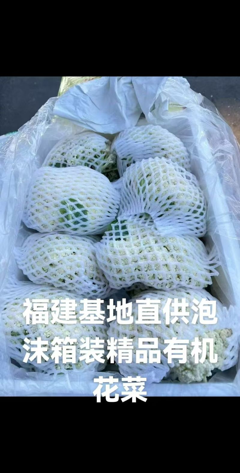 有机花