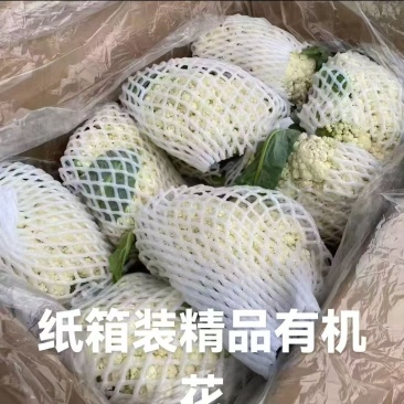有机花