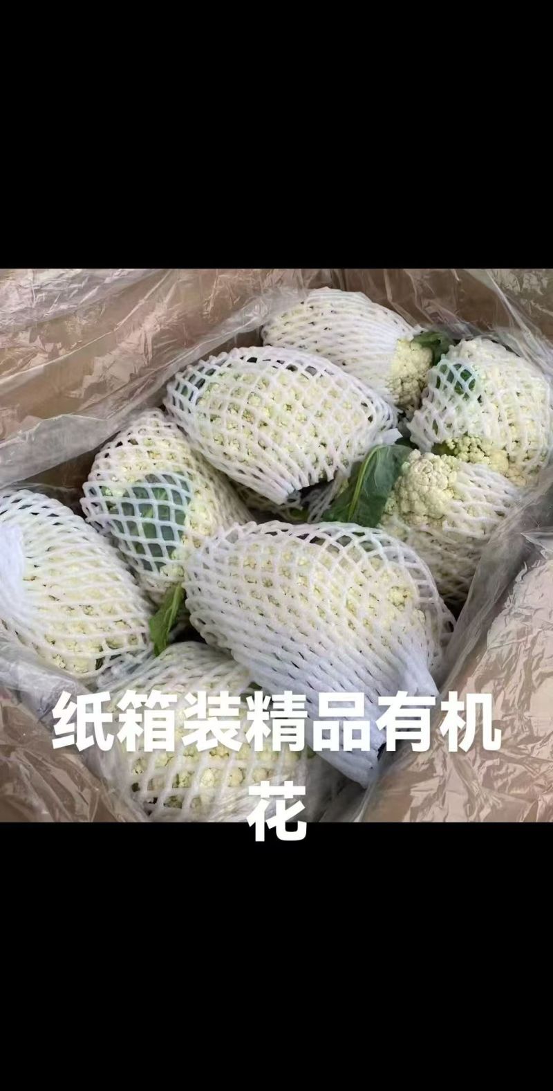 有机花