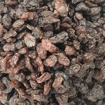 新疆葡萄干红提干红葡萄干
