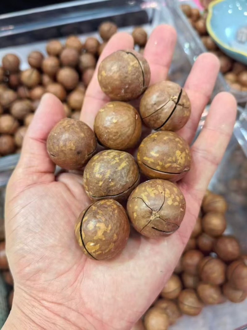 奶香味夏威夷果大量现货