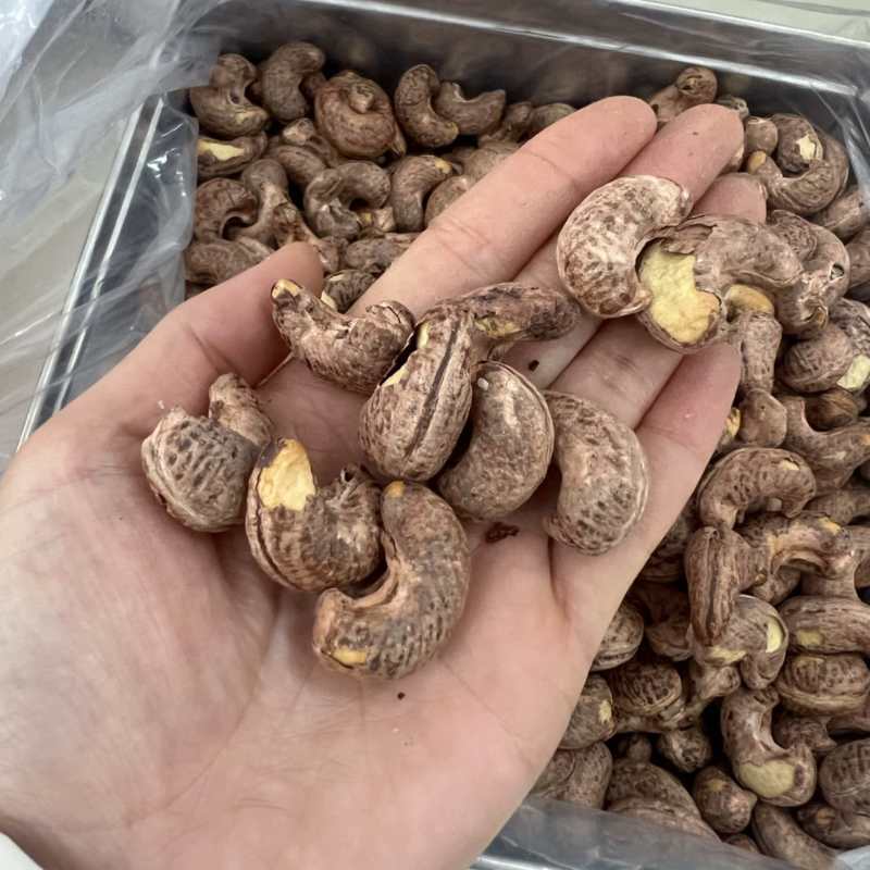 170紫衣腰果高端货大量现货