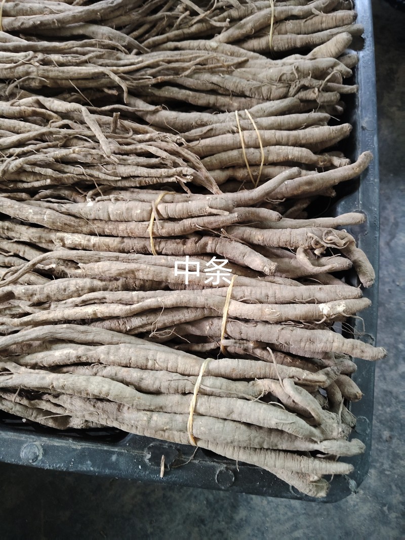 滋补养生品，甜当归，***，自然晒干