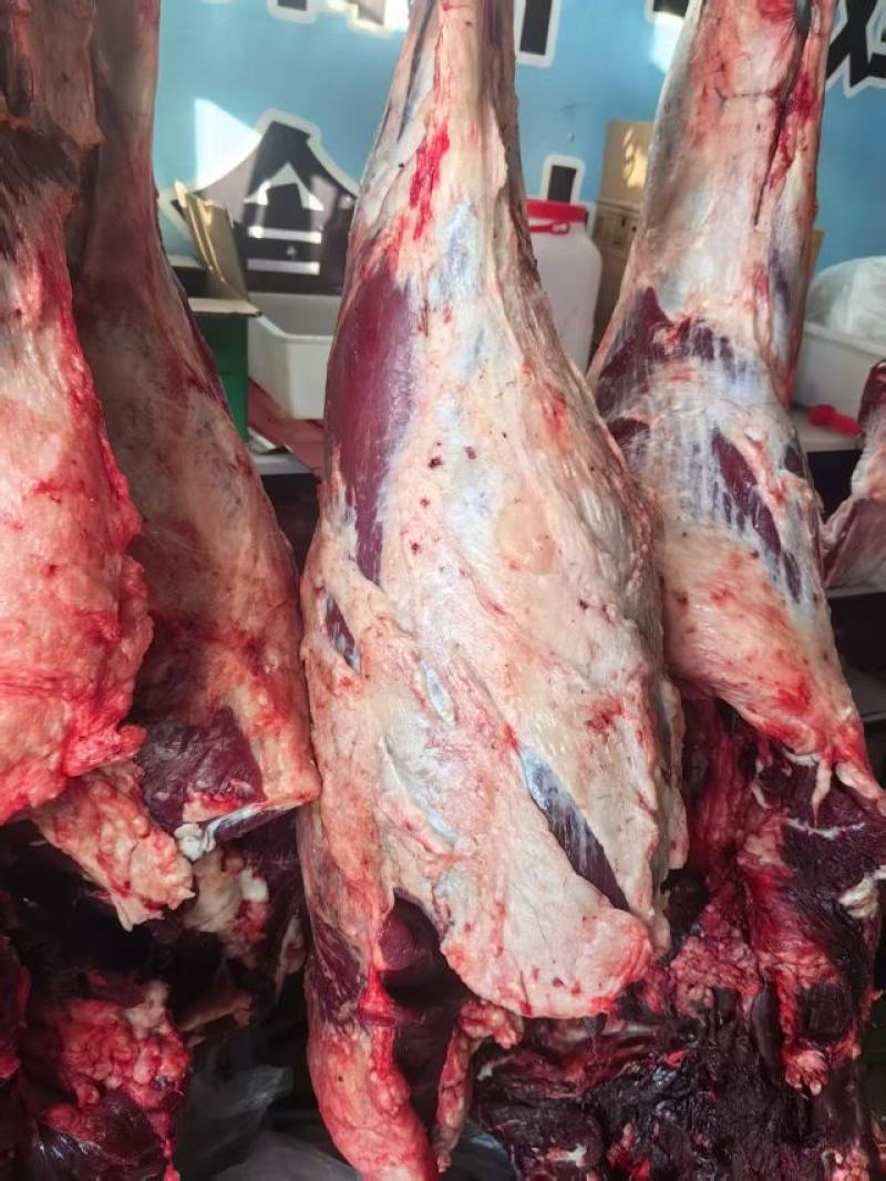 内蒙古黄牛肉，现杀现卖，一手货源，基地直发，欢迎咨询