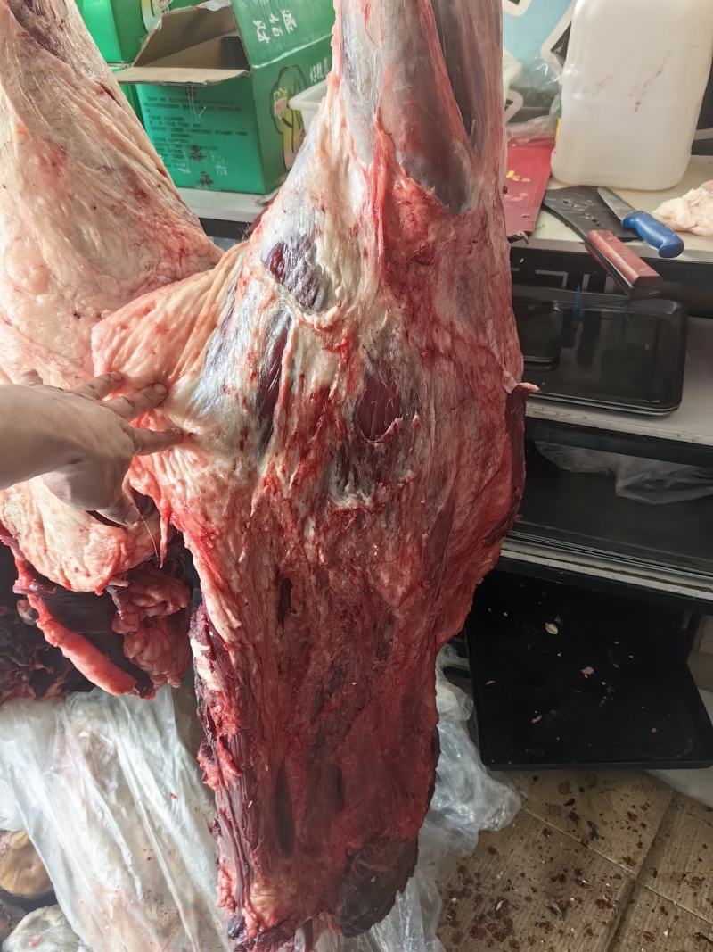 内蒙古黄牛肉，现杀现卖，一手货源，基地直发，欢迎咨询
