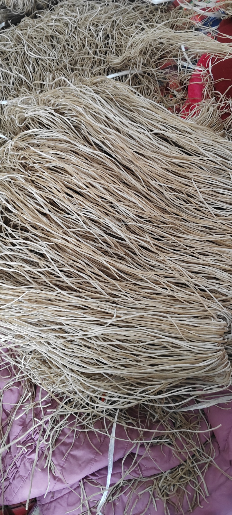 红薯粉条