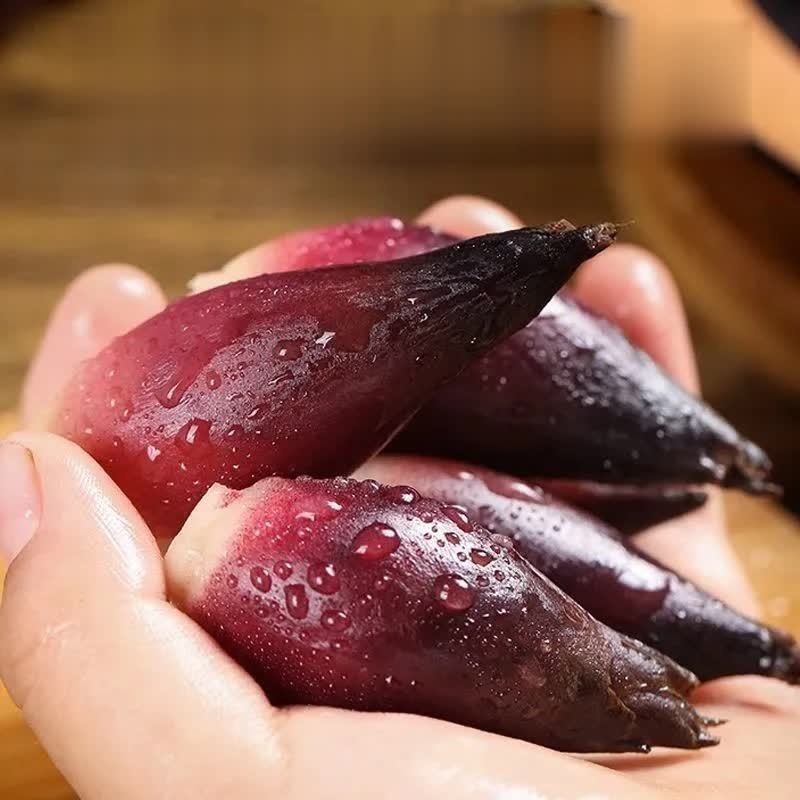 襄荷