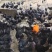 散养生态鸡